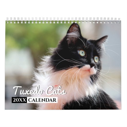 Tuxedo Cats Foto Wall Calendar Kalender (Titelbild)