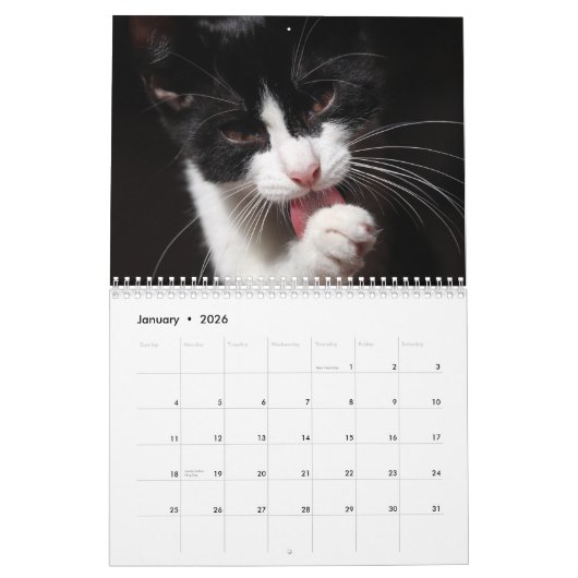 Tuxedo Cats Foto Wall Calendar Kalender (Jan 2026)