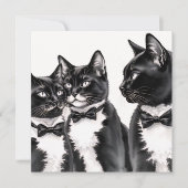 Tuxedo Cats Greetings Card Karte (Vorderseite)