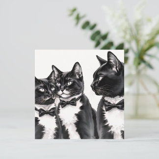 Tuxedo Cats Greetings Card Karte