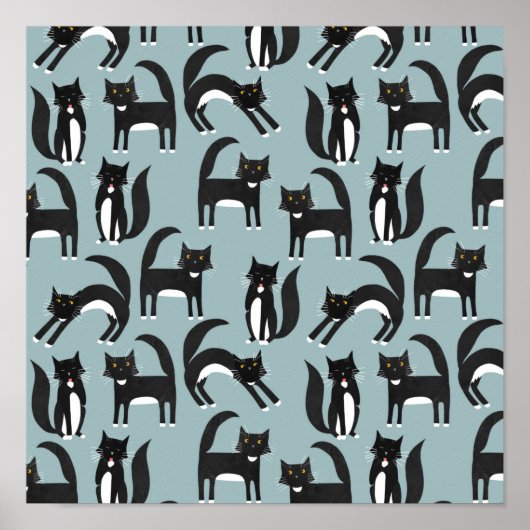 Tuxedo Cats Poster (Vorne)