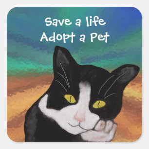 Tuxedo die Katzen-Haustier-Adoptions-Aufkleber Quadratischer Aufkleber