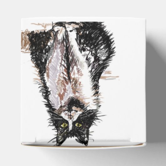 Tuxedo Kat Black Birthday Cats Cake Favor Box Geschenkschachtel (Oben)