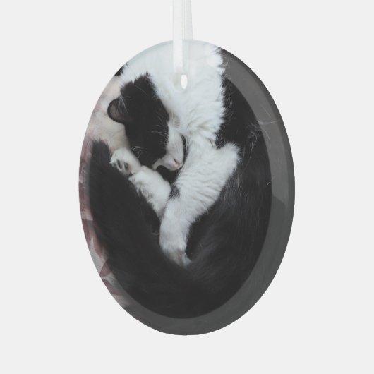 Tuxedo Kat Kitty Cats Schwarz-Weiß Caturday Ornament Aus Glas (Vorderseite links)