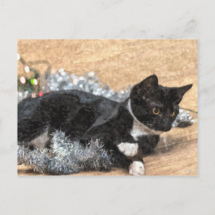 Tuxedo-Kätzchen-Christbaumschmuck-und-Lichter-Post Postkarte