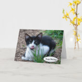 Tuxedo-Kätzchen mit Zungenklemme Karte (Gelbe Blume)