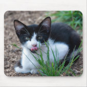 Tuxedo-Kätzchen mit Zungenklemme Mousepad (Vorne)