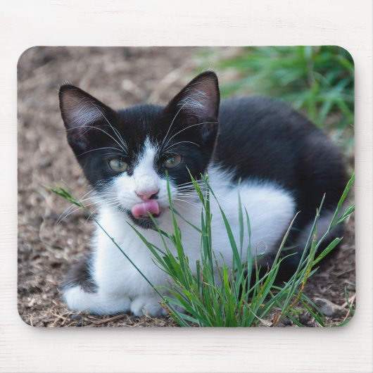 Tuxedo-Kätzchen mit Zungenklemme Mousepad (Vorne)