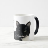 Tuxedo-Katze Ernsthaft Verwandlungstasse (VorderseiteRechts)