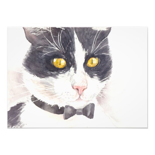 Tuxedo-Katze Fotodruck (Vorne)