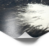 Tuxedo-Katze Fotodruck (Ecke)