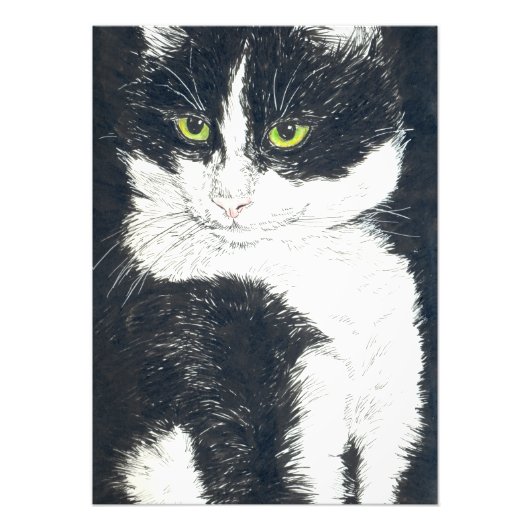 Tuxedo-Katze Fotodruck (Vorne)