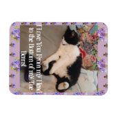 Tuxedo Katze Funny Liebe Zitat Katzen Magnet (Horizontal)