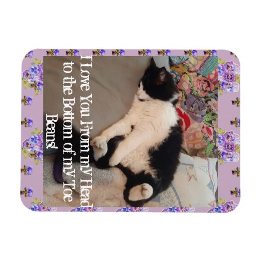 Tuxedo Katze Funny Liebe Zitat Katzen Magnet (Horizontal)