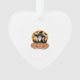 Tuxedo-Katze Halloween Hexe Süße Kürbisse Essentia Ornament