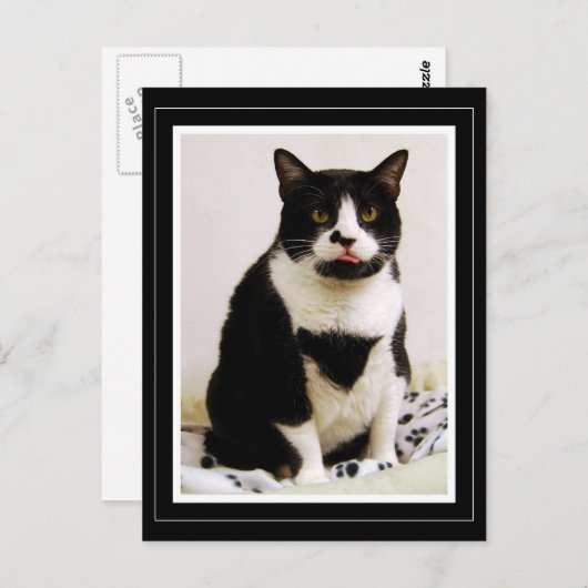 Tuxedo Katze hält ihre Zunge fest Postkarte (Vorne/Hinten)