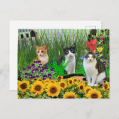 Tuxedo Katze im Blumengarten / Collage Art Postkarte (Vorne/Hinten)