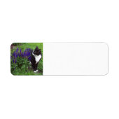 Tuxedo Katze im Garten (Vorne)