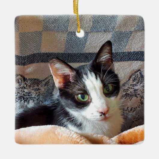 Tuxedo-Katze Keramikornament (Vorderseite)