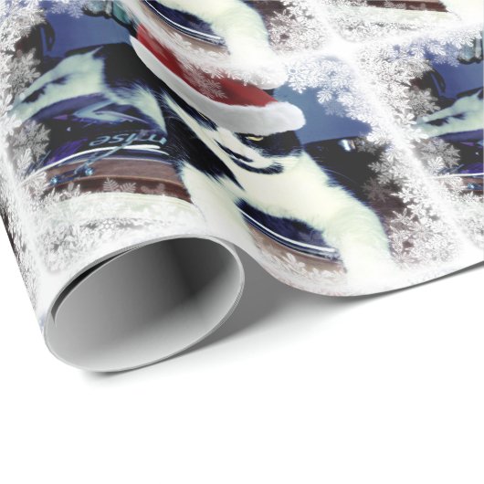 Tuxedo-Katze mit Weihnachtsmannmütze-glänzendes Sc Geschenkpapier (Rolleneckpunkt)