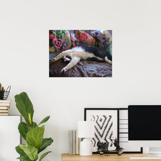 Tuxedo Katze Niedlich Funny Schlafende Katzen Post Poster (Heimbüro)