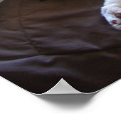 Tuxedo Katze Niedlich Funny Schlafende Katzen Post Poster (Ecke)