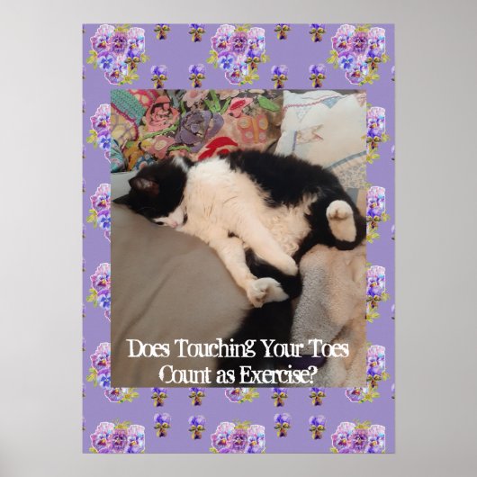 Tuxedo Katze Niedlich Funny Touching Zehen Katzen Poster (Vorne)