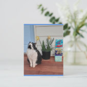 Tuxedo Katze Niedlich mit Hübschen Blume Blue Post Postkarte (Stehend Vorderseite)