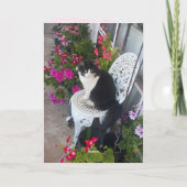 Tuxedo Katze Niedlich mit Hübschen Blume Dankeskarte (Rückseite)