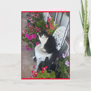 Tuxedo Katze Niedlich mit Hübschen Blume Dankeskarte