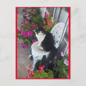 Tuxedo Katze Niedlich mit Hübschen Blume Postkarte (Vorderseite)