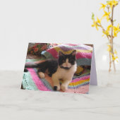 Tuxedo-Katze Niedlich mit Hübscher Crochet-Rug-Kar Karte (Gelbe Blume)