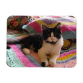 Tuxedo-Katze Niedlich mit Hübscher Crochet-Rug-Kar Magnet (Horizontal)