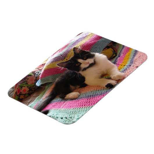 Tuxedo-Katze Niedlich mit Hübscher Crochet-Rug-Kar Magnet (Linke Seite)