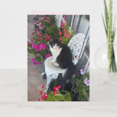 Tuxedo Katze Niedliche Hübsche Blume Katze Weihnac Karte (Rückseite)