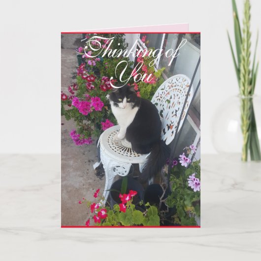 Tuxedo Katze Niedliche Hübsche Blume Katzen Denkka Karte (Vorderseite)
