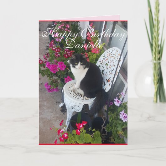 Tuxedo Katze Niedliche Hübsche Blume Katzen Geburt Karte (Vorderseite)