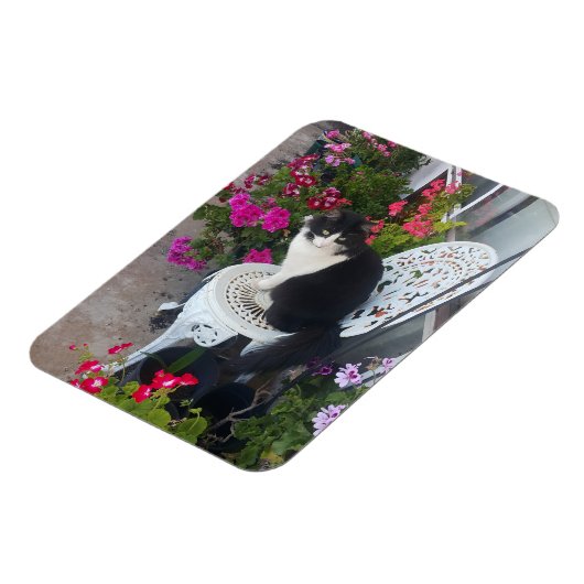 Tuxedo Katze Niedliche Hübsche Blume Katzen Geburt Magnet (Linke Seite)
