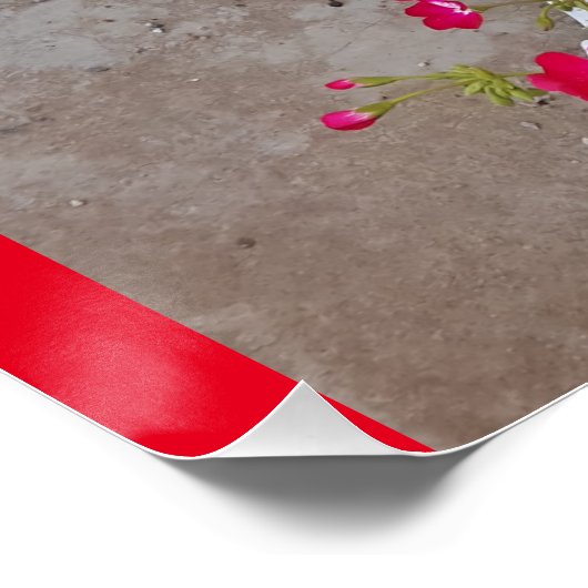 Tuxedo Katze Niedliche Hübsche Blume Katzen Geburt Poster (Ecke)