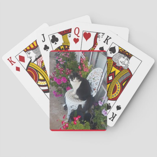 Tuxedo Katze Niedliche Hübsche Blume Katzen Geburt Spielkarten (Rückseite)