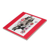 Tuxedo Katze Niedliche Hübsche Blume Katzen Wasser Fliese (Seite)