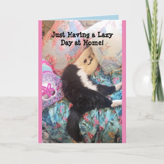 Tuxedo Katze Niedliche Schlafkatze Lazy Day Card Karte (Vorderseite)