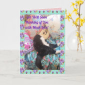 Tuxedo Katze Niedliche Schlafkatzen Gute Karte (Gelbe Blume)