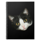 Tuxedo-Katze Notizblock (Vorderseite)