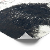 Tuxedo-Katze Poster (Ecke)