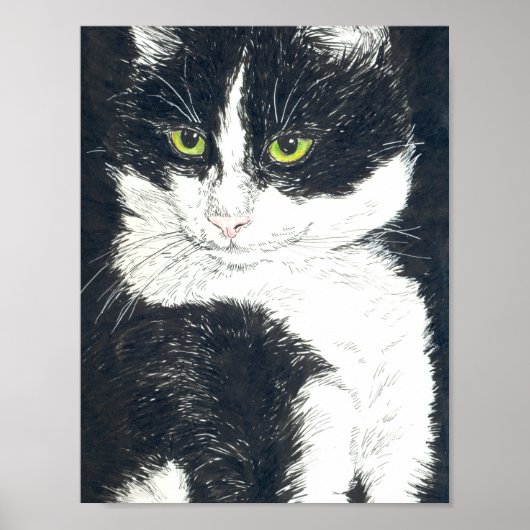 Tuxedo-Katze Poster (Vorne)
