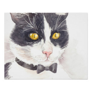 Tuxedo-Katze Poster