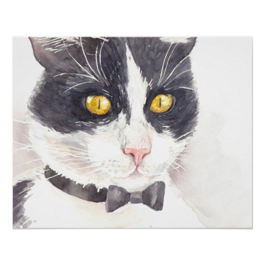 Tuxedo-Katze Poster (Vorderseite)