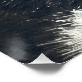 Tuxedo-Katze Poster (Ecke)