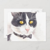 Tuxedo-Katze Postkarte (Vorne/Hinten)